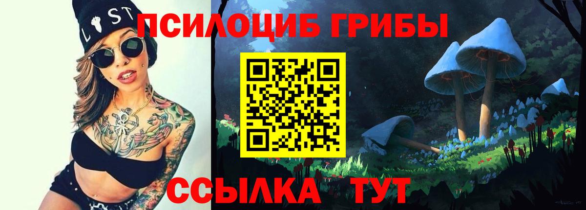 Новоалтайск  Галлюциногенные грибы Cubensis  Вход с VPN 